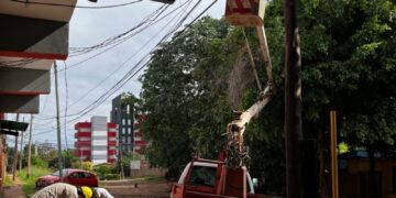 Tras el temporal, operarios de Emsa continúan trabajando en la reparación de líneas de Baja Tensión