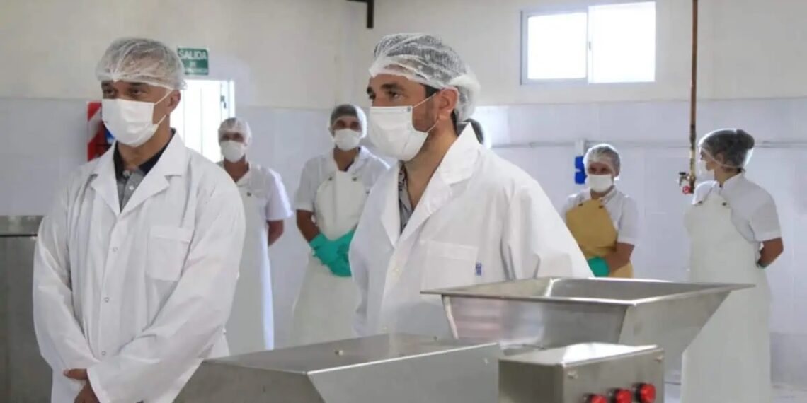 Inauguraron la industria de procesamiento y envasado de frutas tropicales de Aurora