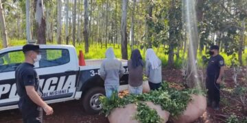 Los detuvieron cuando estaban a punto de llevarse casi dos mil kilos de yerba en Ruiz de Montoya