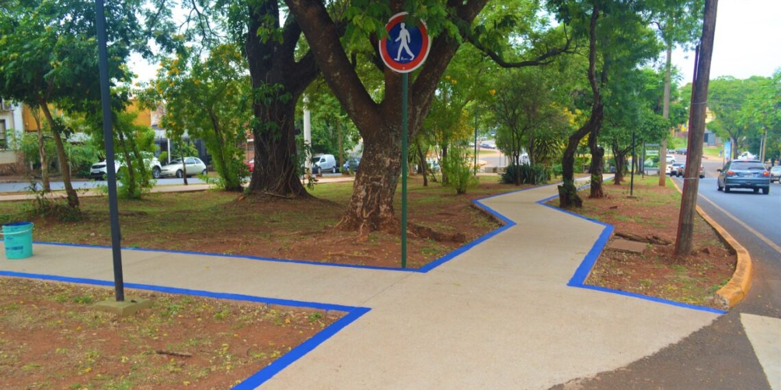 Avanzan los trabajos para la puesta en valor de la avenida Roque Sáenz Peña