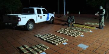 Incautan marihuana valuada en más de 25 millones de pesos