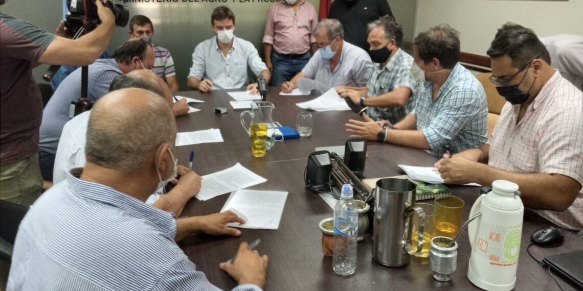 Con aumento del 50% acordaron nuevo precio del tabaco e inicio del acopio