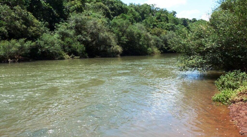 Este año aprobarían ley de conservación de aguas y bosques