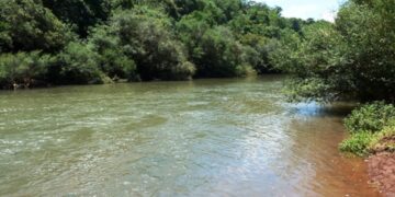 Este año aprobarían ley de conservación de aguas y bosques