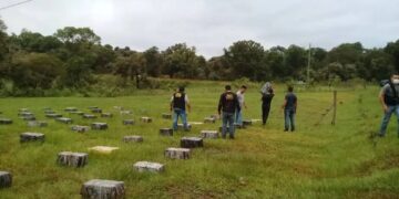 Desmantelan punto de acopio de marihuana en Mado: hay un detenido