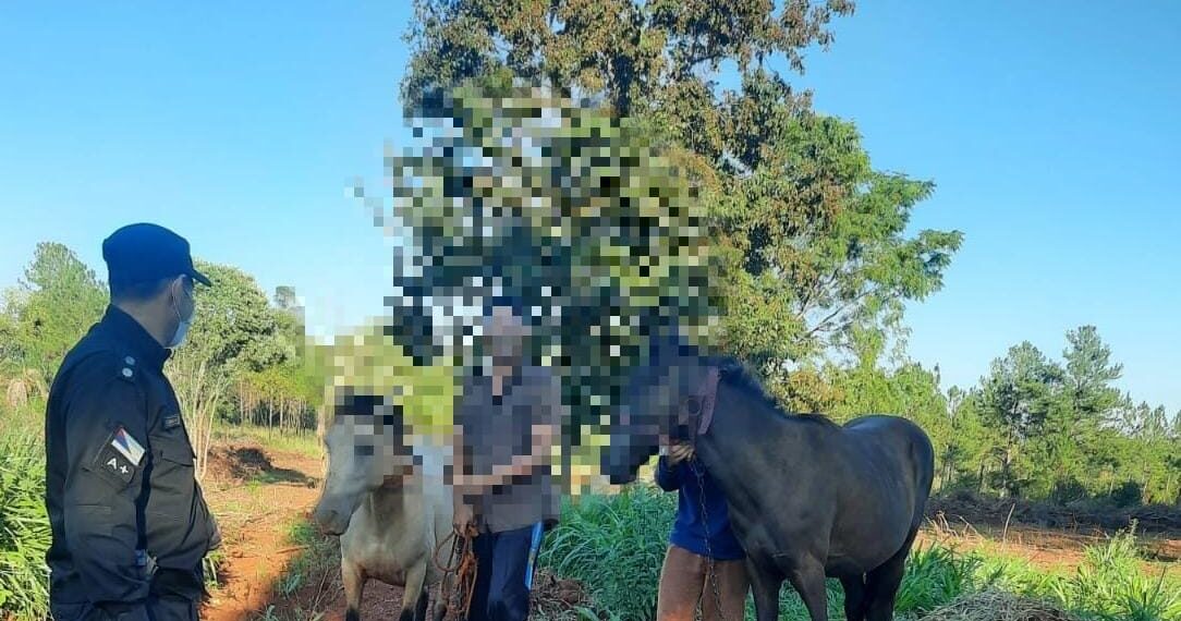 Concepción de la Sierra: recuperaron dos equinos a los pocos minutos de ser robados