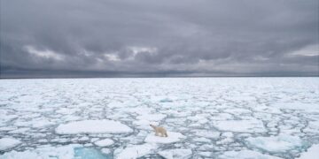 Por el calentamiento global: el Ártico perdió 770.000 kilómetros cuadrados de hielo, según la NASA