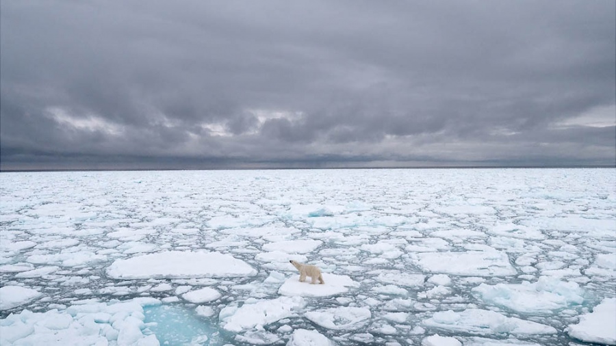 Por el calentamiento global: el Ártico perdió 770.000 kilómetros cuadrados de hielo, según la NASA
