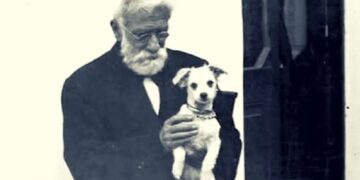 ¿Por qué se celebra el 29 de abril el Día del Animal en Argentina?
