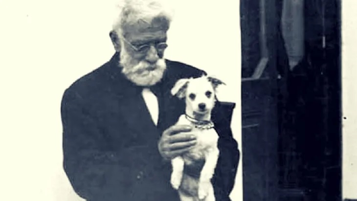 ¿Por qué se celebra el 29 de abril el Día del Animal en Argentina?