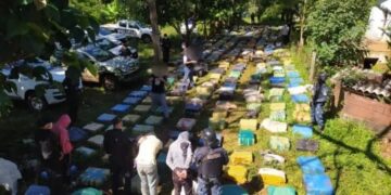 Eldorado: incautan más  9 toneladas de marihuana y detienen a 3 personas