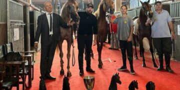 “Nuestros Caballos” en La Rural: ejemplar misionero cosechó seis premios