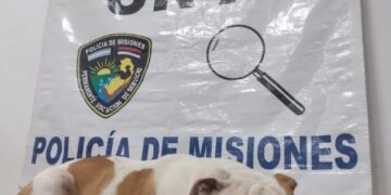 Lo detuvieron por querer cobrar el rescate de un perro