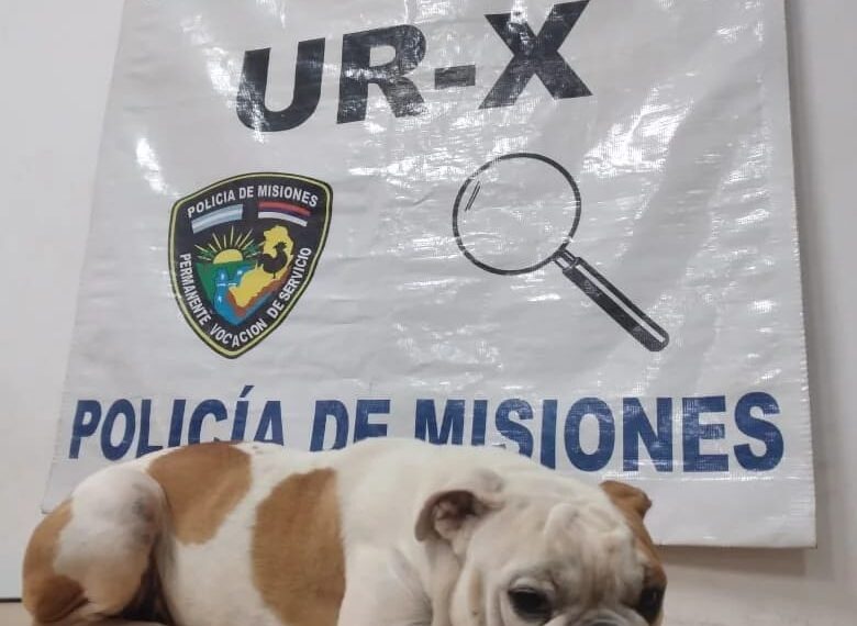 Lo detuvieron por querer cobrar el rescate de un perro