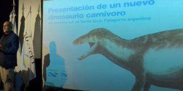 Hallaron en Argentina, los restos de un gigante megarraptor, el más grande encontrado hasta el momento