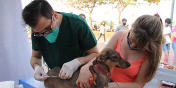 El IMuSA en tu barrio, lugares y horarios de los operativos