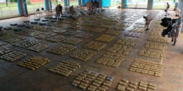 Posadas: secuestraron más de tres toneladas de marihuana