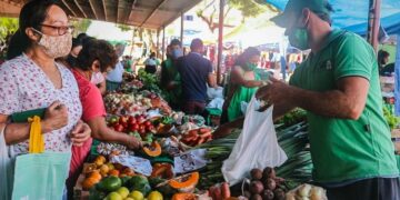 Más de 700 productores y emprendedores comercializan en las Ferias Francas de Posadas