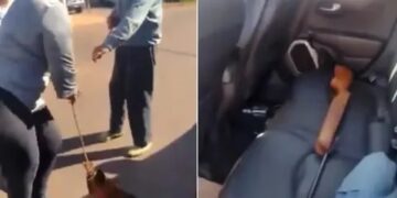 Arrestaron al hombre que arrastró con su camioneta a un perro en Salto Encantado