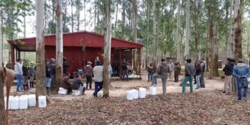 Rescatan a 73 víctimas de explotación laboral