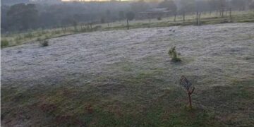 Bernardo de Irigoyen y San Antonio registraron hoy, las primeras heladas del año en Misiones