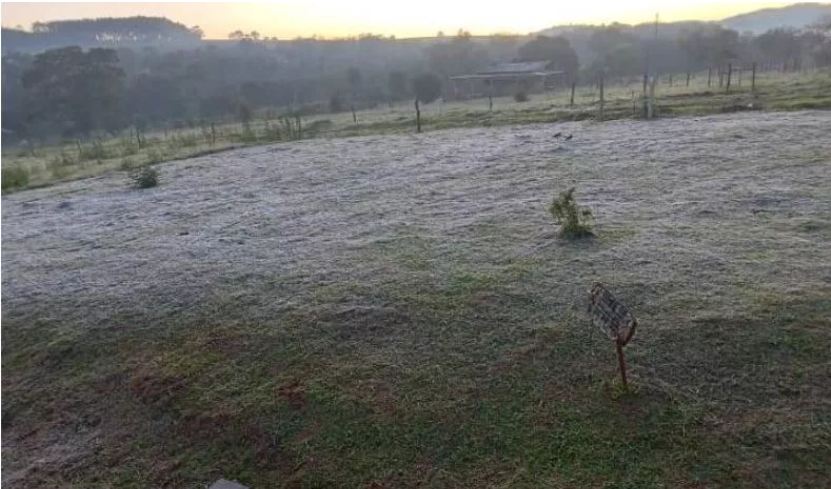 Bernardo de Irigoyen y San Antonio registraron hoy, las primeras heladas del año en Misiones