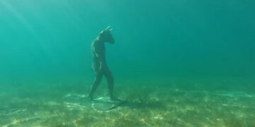 Un misterioso minotauro apareció en el fondo de un lago en Neuquén