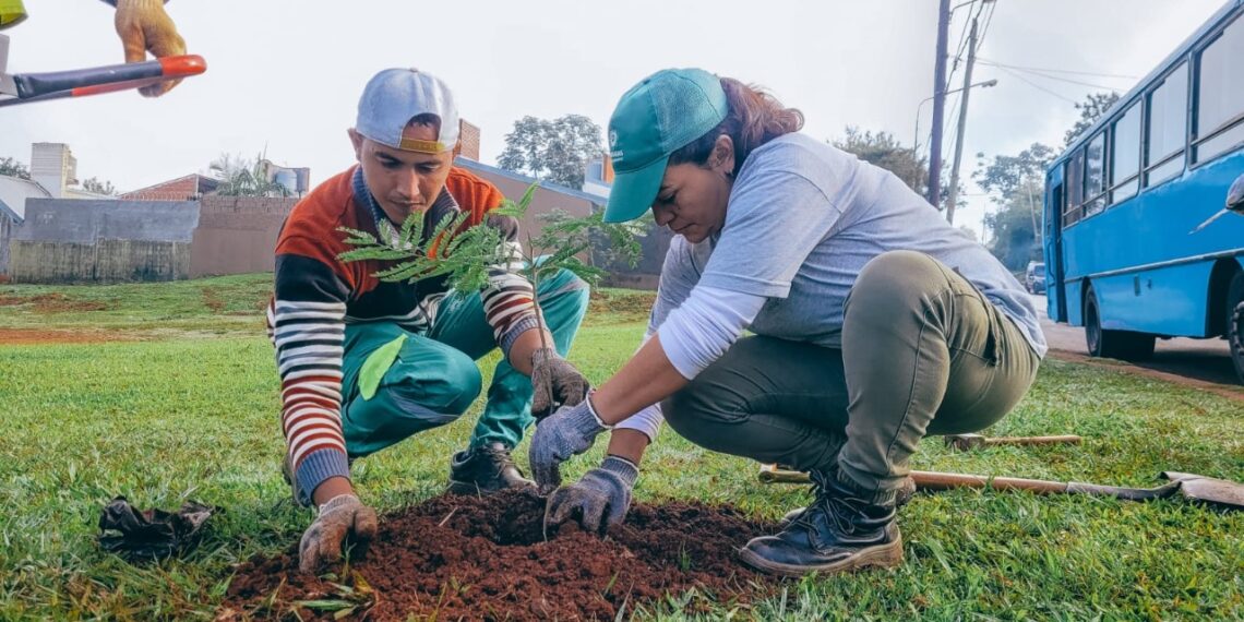 Más de dos mil árboles fueron plantados en avenidas de la ciudad