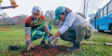 Más de dos mil árboles fueron plantados en avenidas de la ciudad