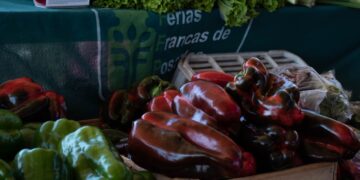 Las Ferias Francas abrirán normalmente durante el feriado largo