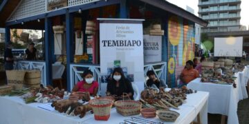 Este domingo se realizará la sexta edición de la Feria de Artesanías Mbya “Tembiapo”