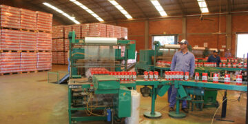 Destacan el crecimiento económico en Misiones