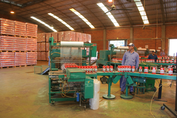 Destacan el crecimiento económico en Misiones