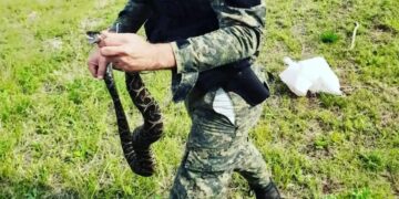 Itaembé Guazú: Policías rescataron y resguardaron una serpiente