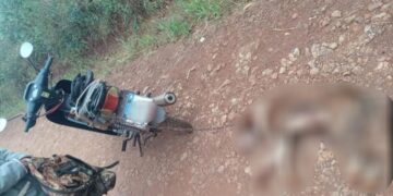 Maltrato animal: detuvieron a un hombre por arrastrar a su perro con una moto