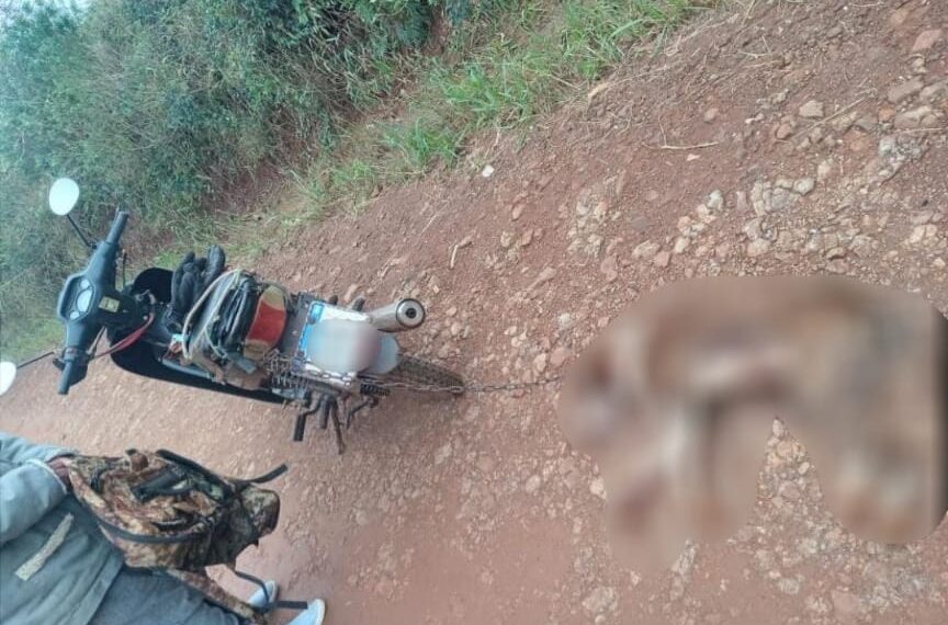 Maltrato animal: detuvieron a un hombre por arrastrar a su perro con una moto
