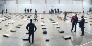Decomisaron cerca de 6 toneladas de marihuana en Garuhapé Mí