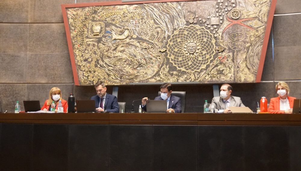 Instituyeron al 25 de octubre como Día Provincial de Sensibilización