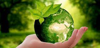Día Mundial del Medio Ambiente: el desafío es vivir de manera sostenible