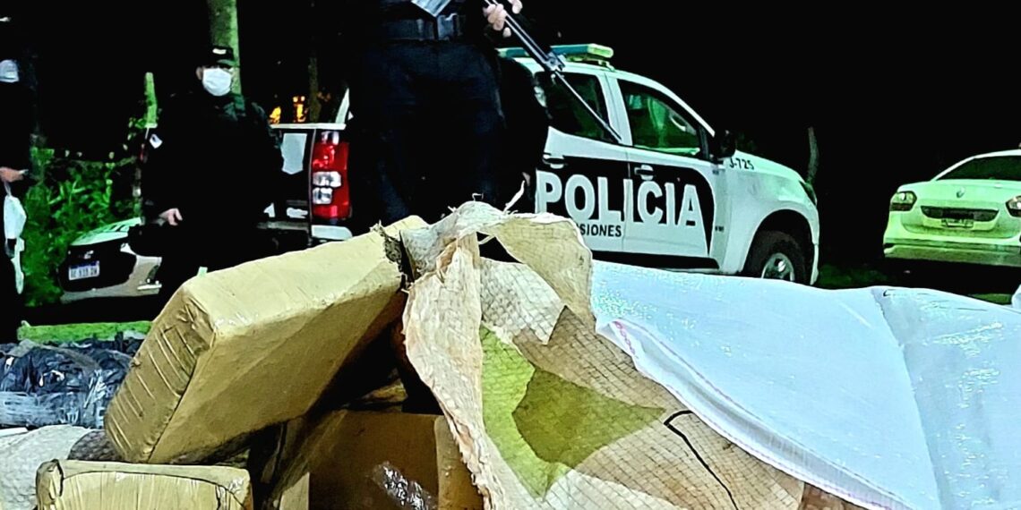 Nuevo golpe al narcotráfico: La Policía secuestró más de media tonelada de marihuana en Pozo Azul