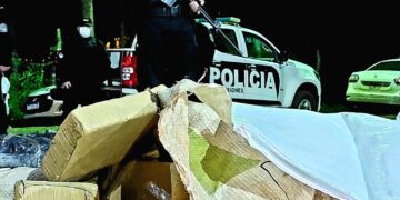 Nuevo golpe al narcotráfico: La Policía secuestró más de media tonelada de marihuana en Pozo Azul