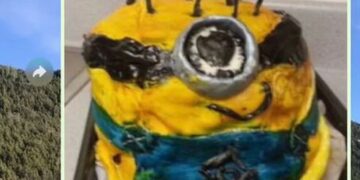 Tortas desastrosas y la reacción de un papá que se volvió viral