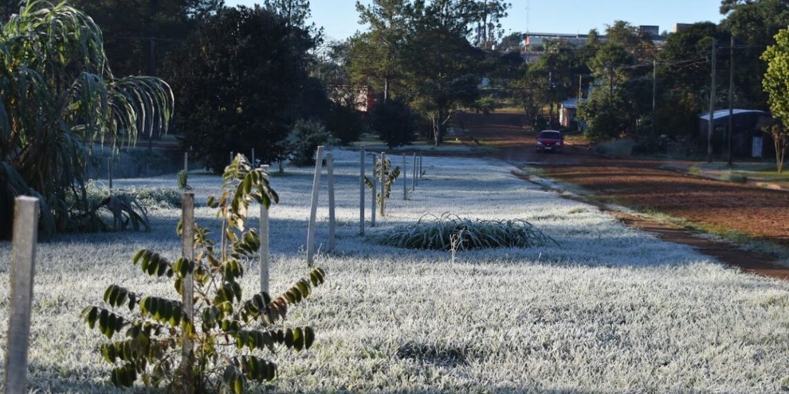 Ola polar en Misiones: domingo con heladas en varias localidades