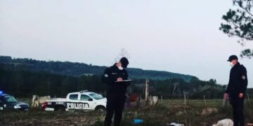 Leandro N. Alem: detuvieron a un hombre y secuestraron carne faenada