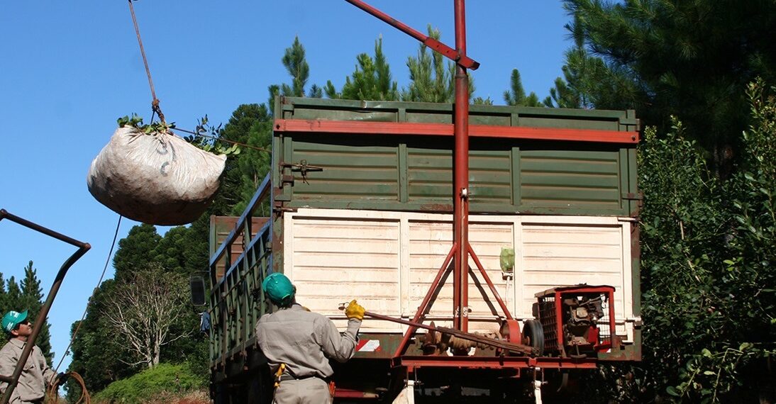 Refuerzo de abastecimiento de gasoil: “Es un gran beneficio para toda la actividad yerbatera”