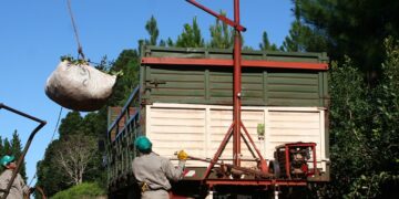 Refuerzo de abastecimiento de gasoil: “Es un gran beneficio para toda la actividad yerbatera”