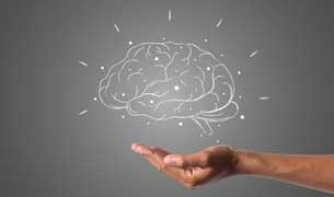 22 de Julio: Día Mundial del Cerebro