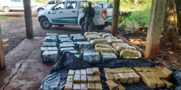 Incautan más de 800 kilos de marihuana en una vivienda de Jardín América