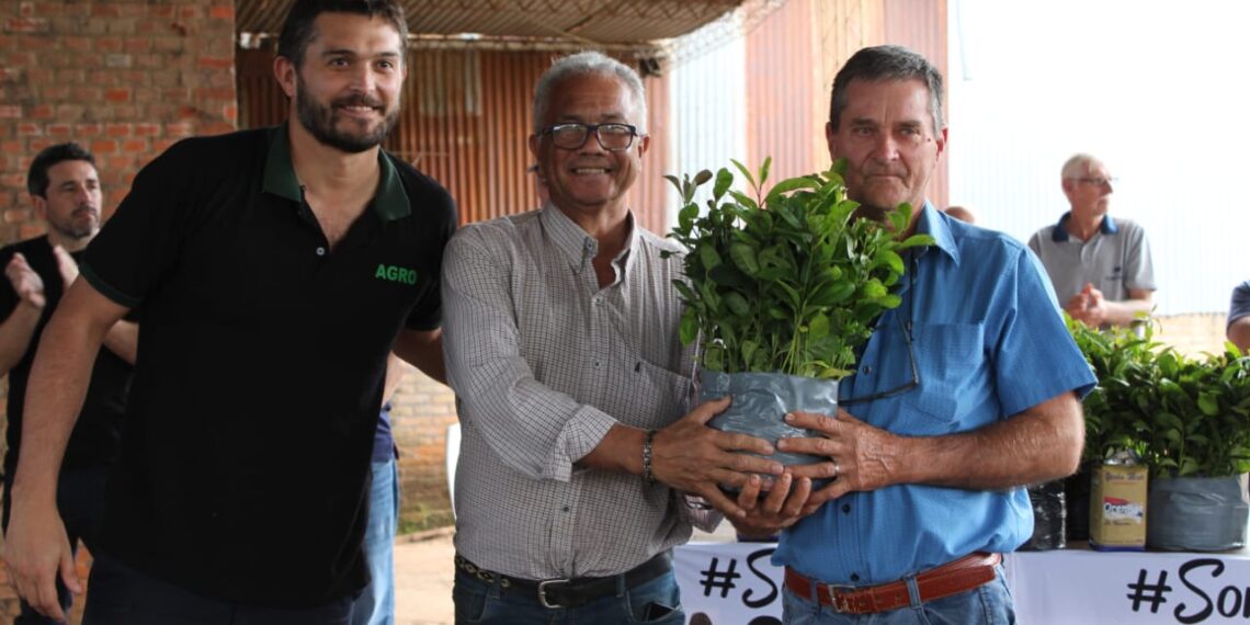 Productores recibieron 160 mil plantines de yerba