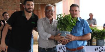 Productores recibieron 160 mil plantines de yerba
